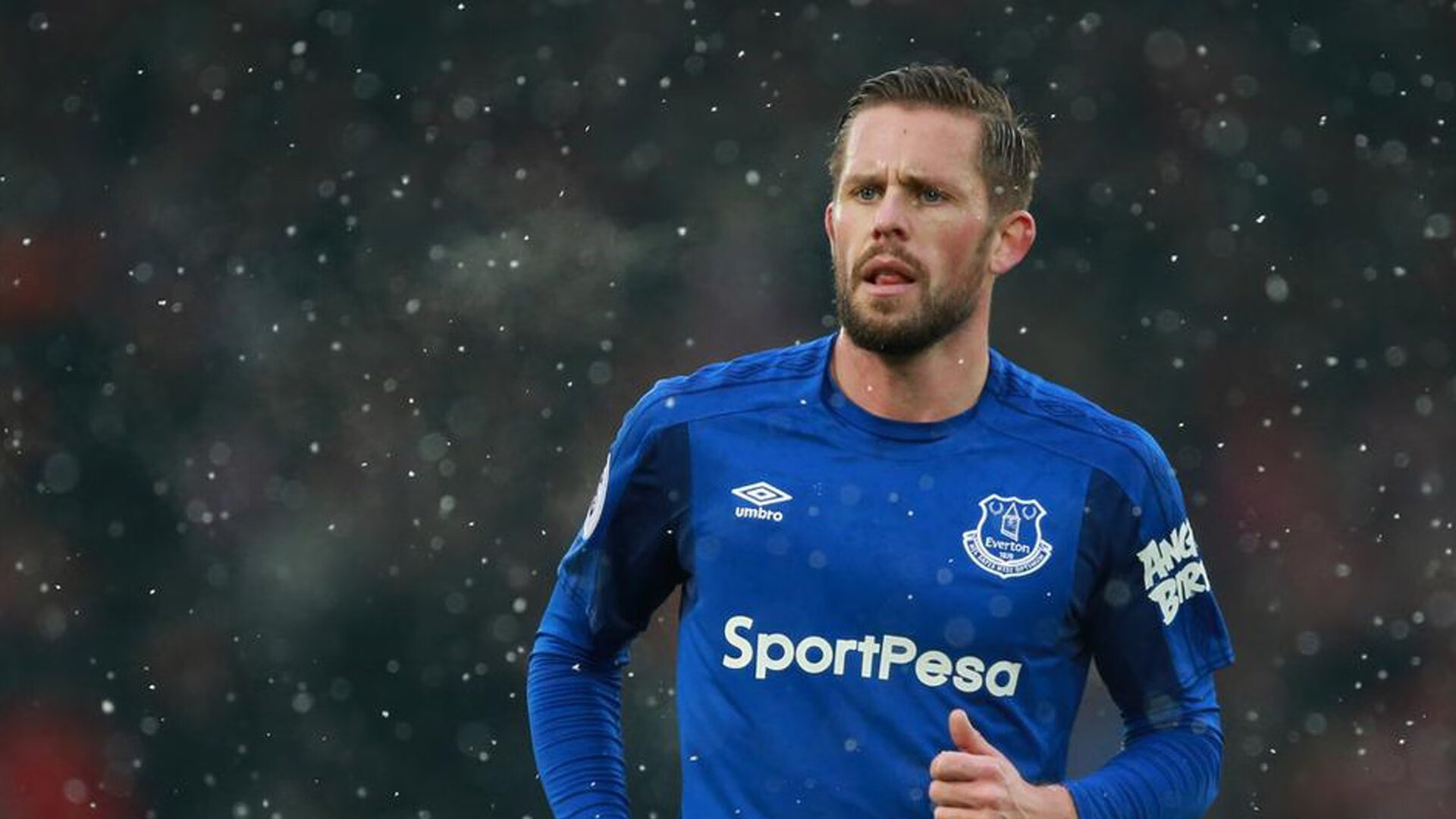 鹈鹕表现被认为是东部黑马呼声,“鹈鹕”