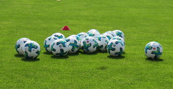 下载乐鱼体育APP-乒乓德甲俱乐部商业转型的痛点与破局方案，德乒乓球男队队员